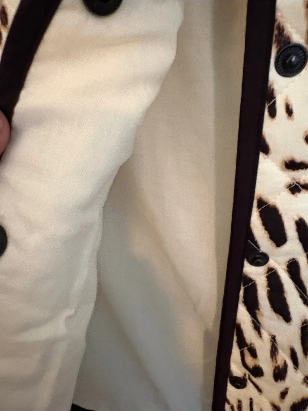 Sanctuary Cream and Black Animal-Print Quilted Blazer size large bnwt